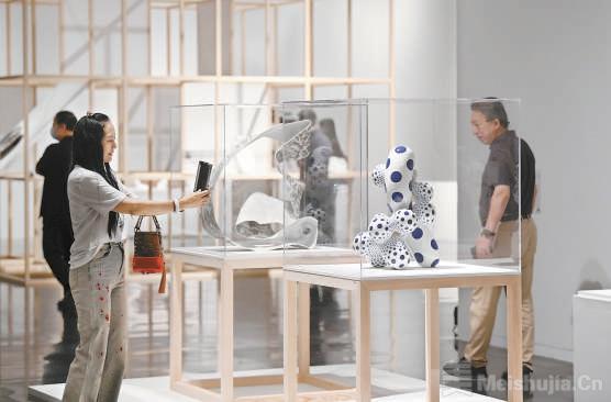 凝固的韵律：国际当代陶艺作品展”在清华艺博开幕