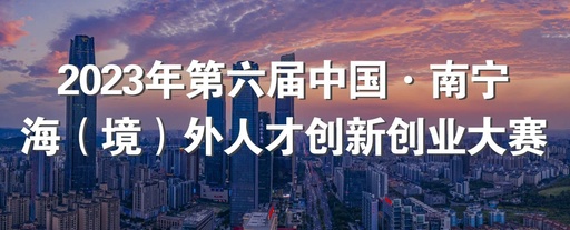 2023年第六届中国·南宁海（境）外人才