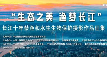 2025“生态之美 渔梦长江”长江十年禁渔和水生生物保护摄影作品征集