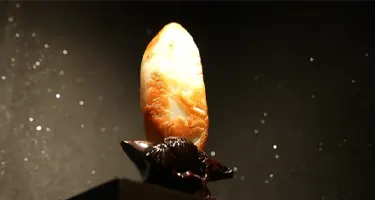 “昆冈杯”和田玉雕刻作品大赛暨创意设计大赛